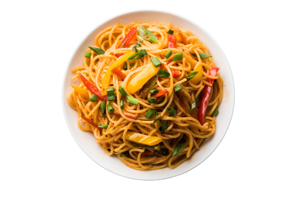 Spl. Vegetable Hakka Noodle